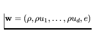 ${\bf w} = (\rho,\rho u_1,\dots,\rho u_d,e)$