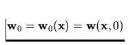 ${\bf w}_0= {\bf w}_0({\bf x})= {\bf w}({\bf x},0)$